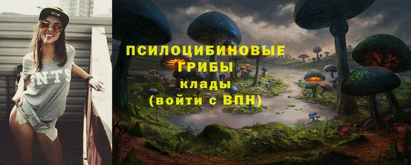 дживик Абаза