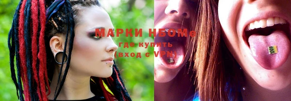 ПСИЛОЦИБИНОВЫЕ ГРИБЫ Алзамай
